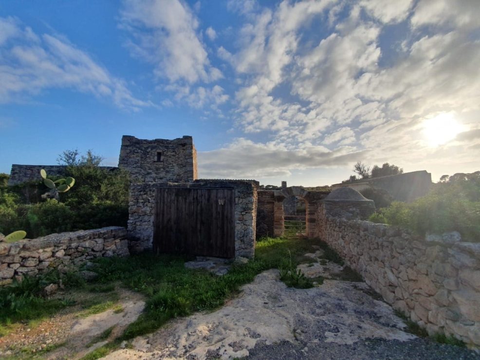 A different Formentera: discover the green routes of Formentera by bike or motorcycle.