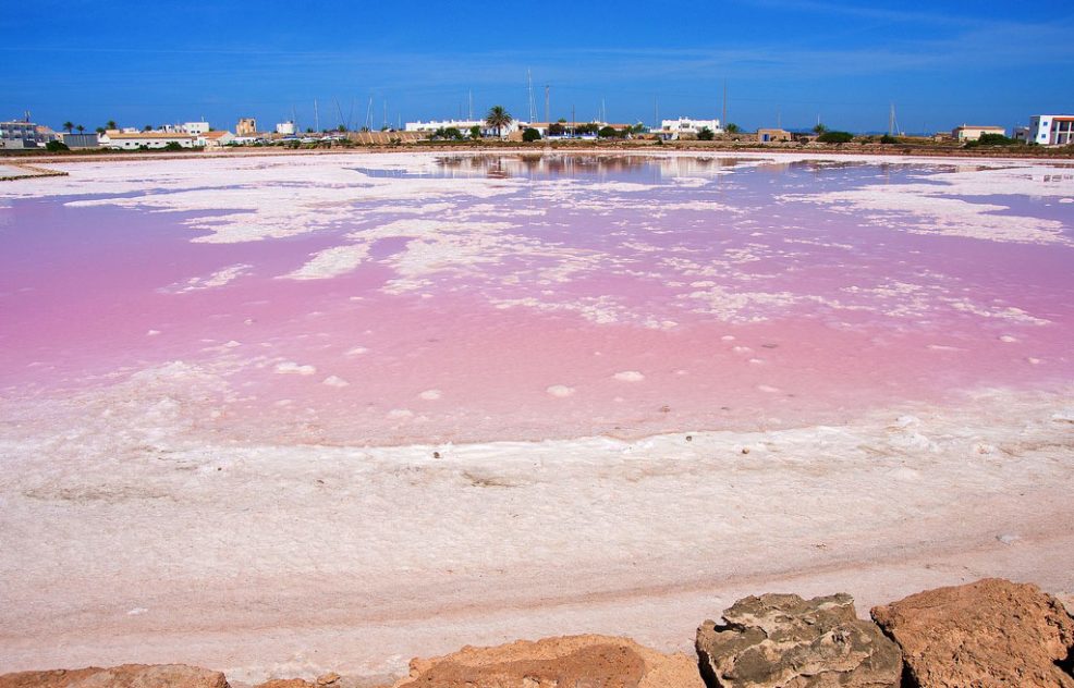 Tour Ses Salines de Formentera by motorcycle and discover the most precious white gold of the island!