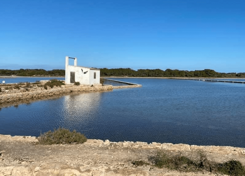 Travel to Formentera during the Constitution long weekend!